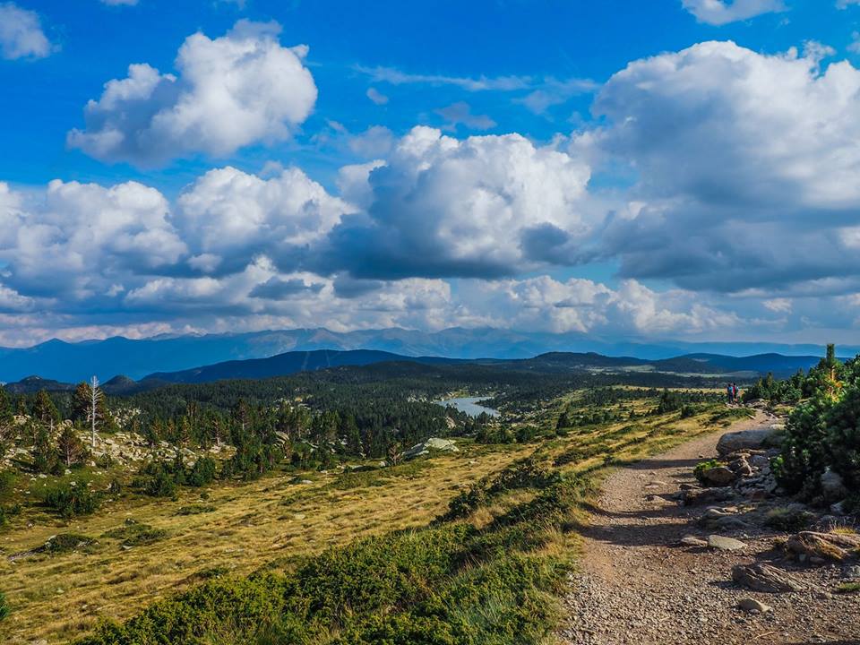 42291062_10217138358441314_6493781352284946432_n