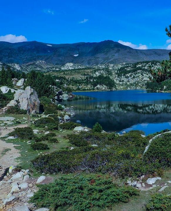 42313809_10217138370561617_8695434665420390400_n