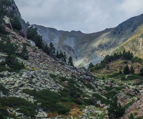 42320486_10217138360521366_6185132473974784000_n