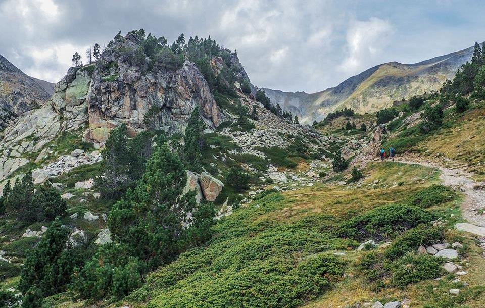 42322668_10217138367681545_5671634288668311552_n