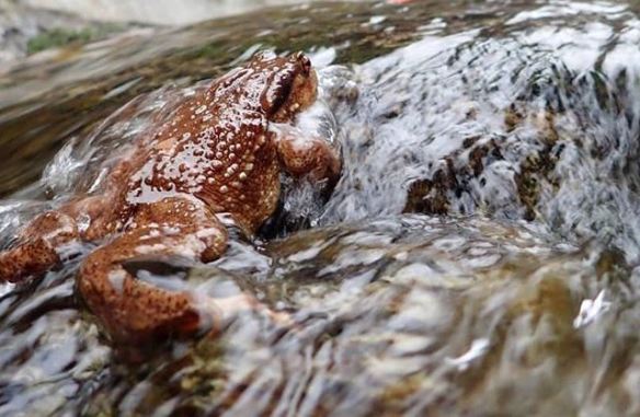 59363616_461413484629848_8744237966902807497_n