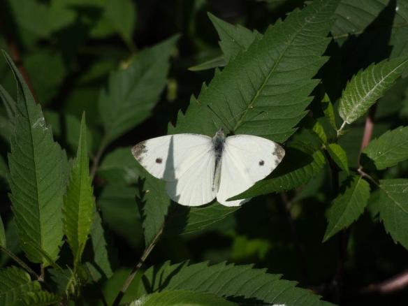 photo_2019-11-05_16-25-51