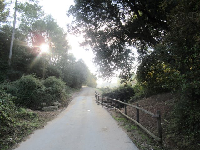 La imagen tiene un atributo ALT vacío; su nombre de archivo es img_2343_01-1.jpg