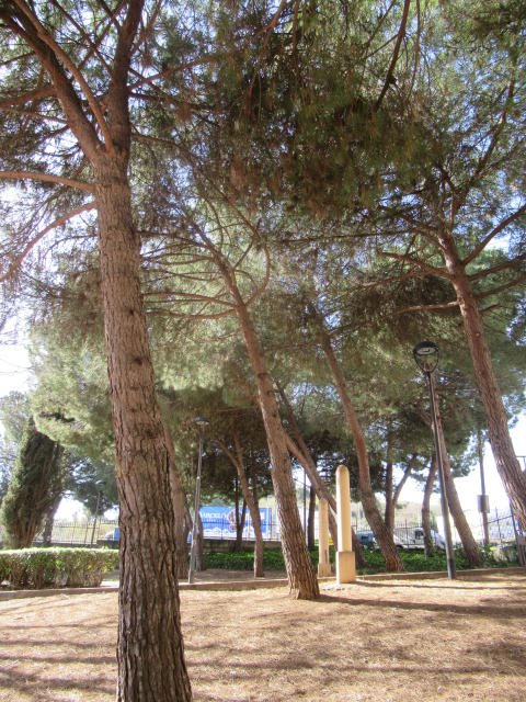 La imagen tiene un atributo ALT vacío; su nombre de archivo es img_3309_01.jpg