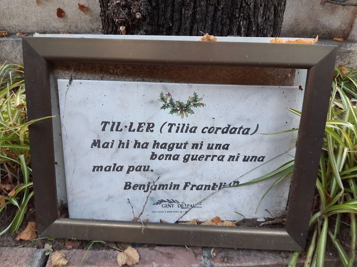 La imagen tiene un atributo ALT vacío; su nombre de archivo es tilc2b7ler-20201111_121549.jpg