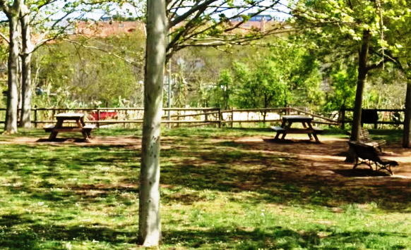 La imagen tiene un atributo ALT vacío; su nombre de archivo es captura-de-pantalla-2020-11-25-12.50.59.png