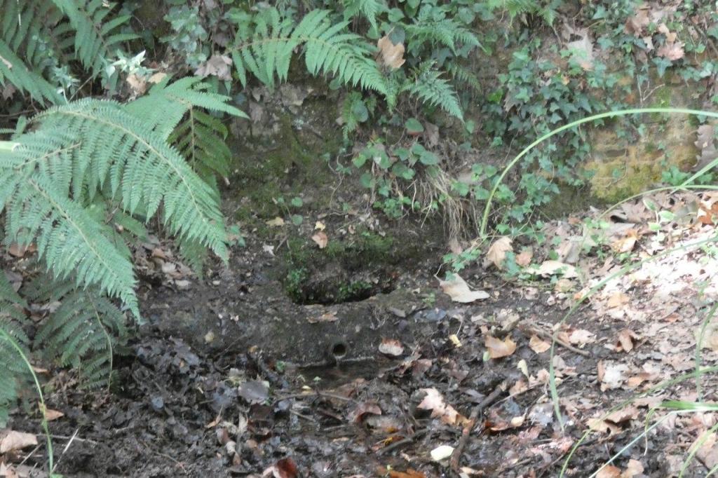 La imagen tiene un atributo ALT vacío; su nombre de archivo es photo_2020-08-13_18-38-17.jpg