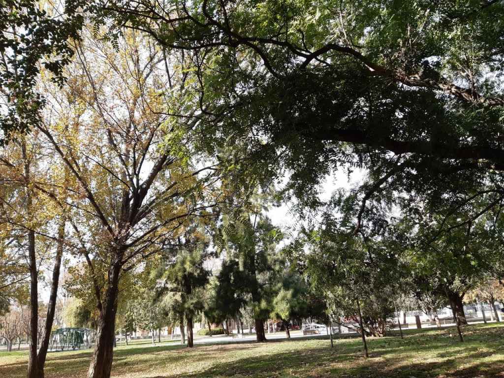 La imagen tiene un atributo ALT vacío; su nombre de archivo es photo_2020-12-02_15-37-40-3.jpg