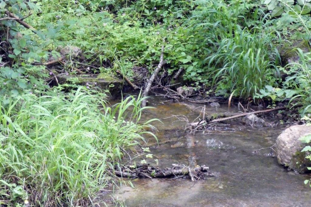 La imagen tiene un atributo ALT vacío; su nombre de archivo es photo_2020-06-11_14-52-13-2.jpg