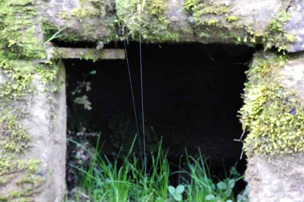 La imagen tiene un atributo ALT vacío; su nombre de archivo es photo_2021-02-18_17-36-05.jpg