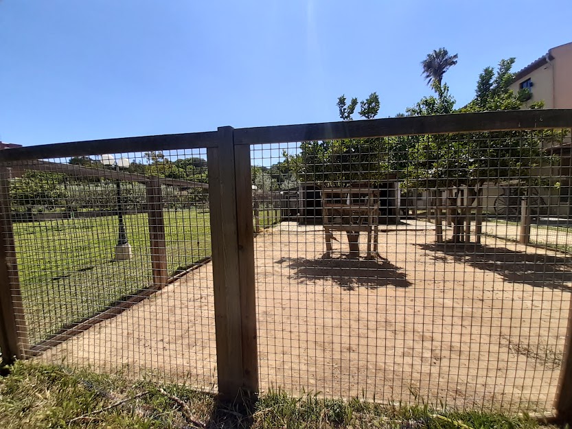 La imagen tiene un atributo ALT vacío; su nombre de archivo es 20210524_123017.jpg