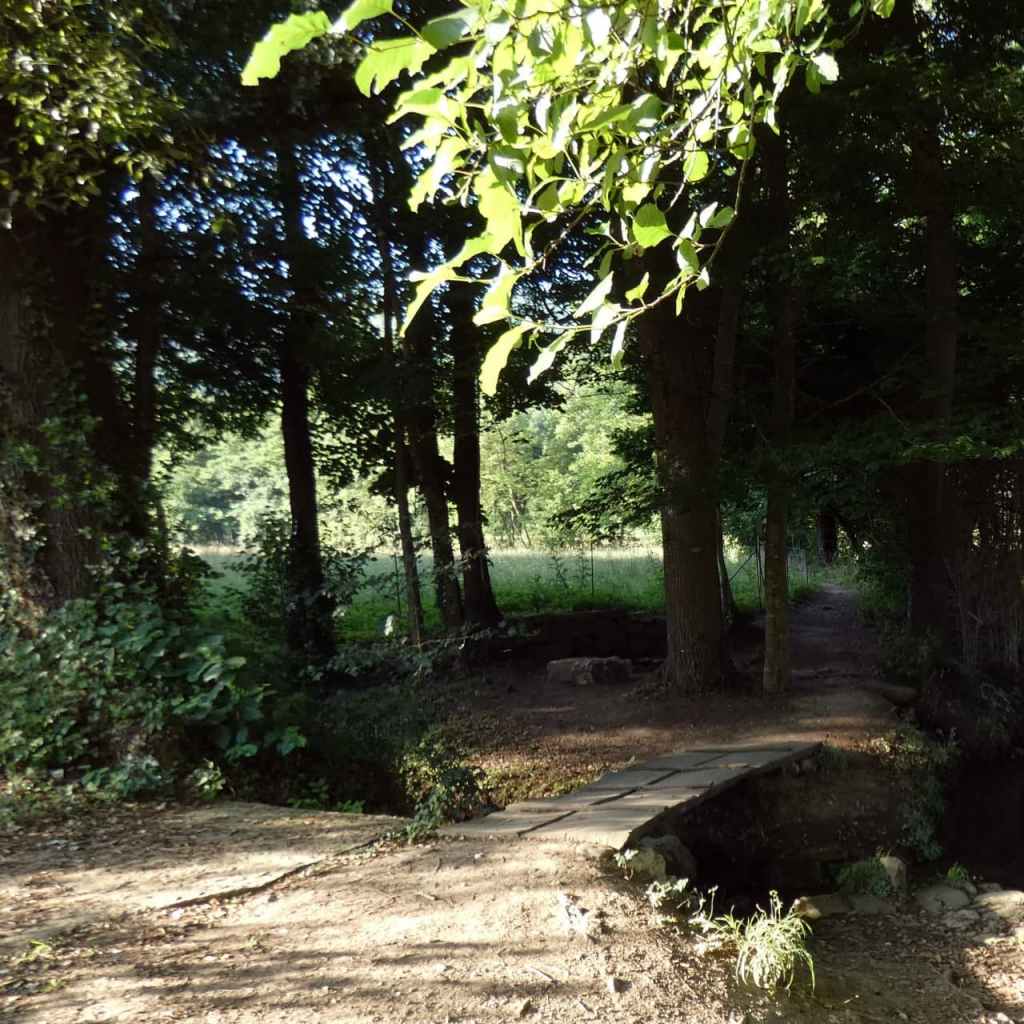 La imagen tiene un atributo ALT vacío; su nombre de archivo es photo_2021-07-11_18-29-13.jpg