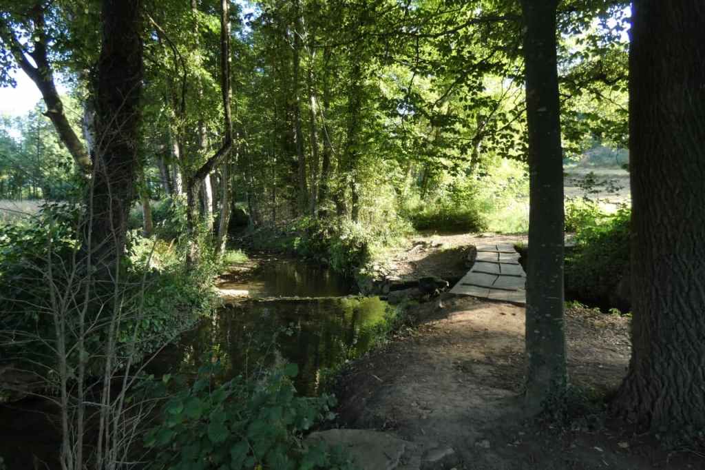 La imagen tiene un atributo ALT vacío; su nombre de archivo es photo_2021-07-11_18-29-22.jpg