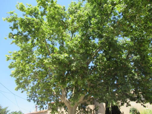 La imagen tiene un atributo ALT vacío; su nombre de archivo es img_4211_01.jpg