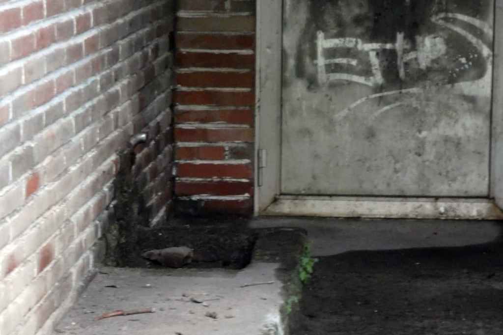 La imagen tiene un atributo ALT vacío; su nombre de archivo es photo_2021-07-22_14-25-34-3.jpg