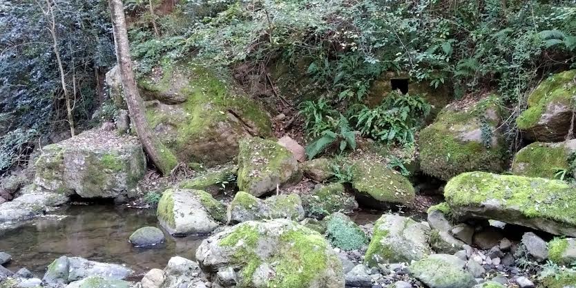 La imagen tiene un atributo ALT vacío; su nombre de archivo es 2-1.jpg