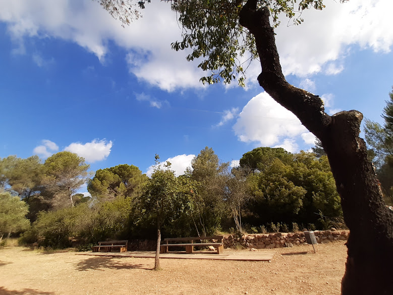 La imagen tiene un atributo ALT vacío; su nombre de archivo es 20210716_095706.jpg