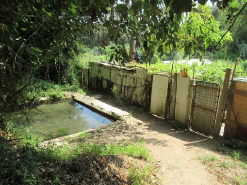 La imagen tiene un atributo ALT vacío; su nombre de archivo es img_4510_01.jpg