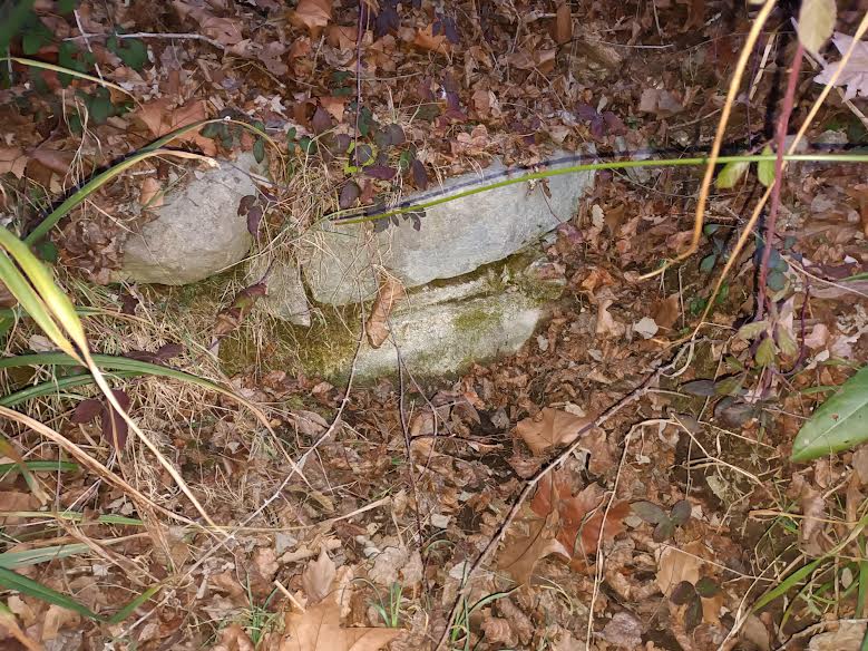 La imagen tiene un atributo ALT vacío; su nombre de archivo es c-1.jpg