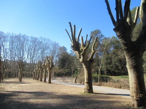 La imagen tiene un atributo ALT vacío; su nombre de archivo es img_5427_01.jpg