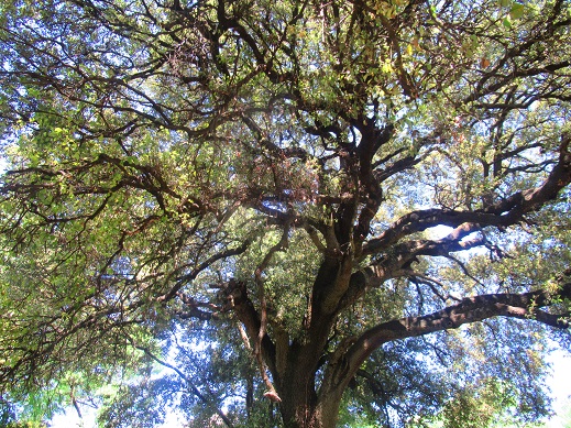 La imagen tiene un atributo ALT vacío; su nombre de archivo es img_6413.jpg