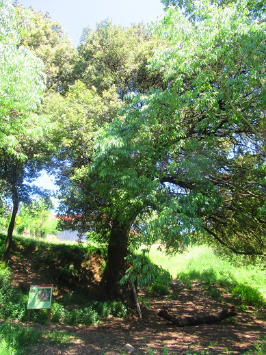 La imagen tiene un atributo ALT vacío; su nombre de archivo es img_6417.jpg